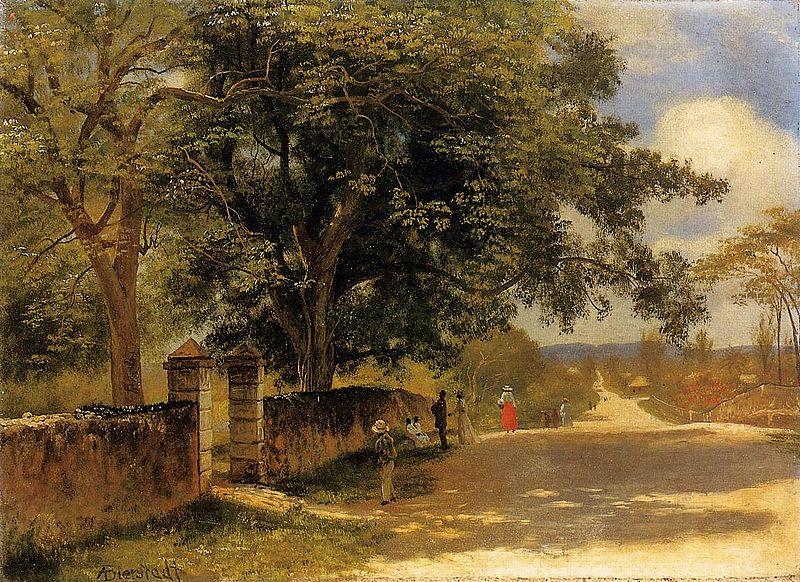 Albert Bierstadt Street in Nassau oil painting image
